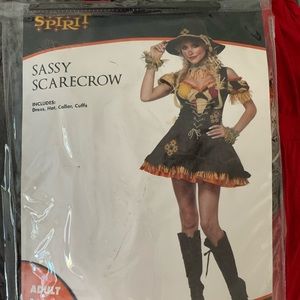 Sexy scarecrow costume